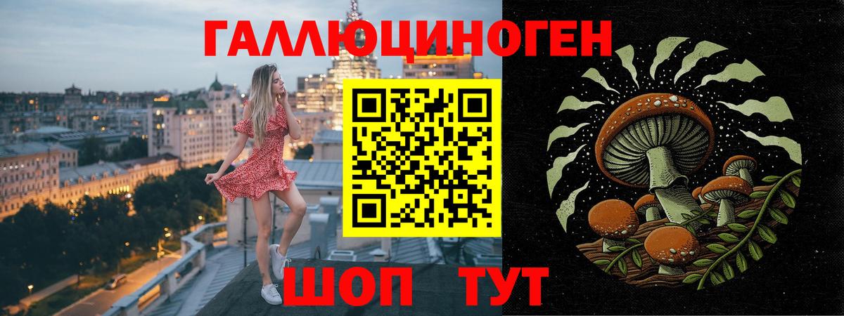 Галлюциногенные грибы Psilocybe Оренбург