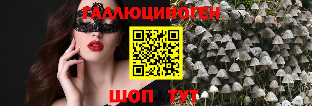 Оренбург  Галлюциногенные грибы MAGIC MUSHROOMS  Вход с VPN 