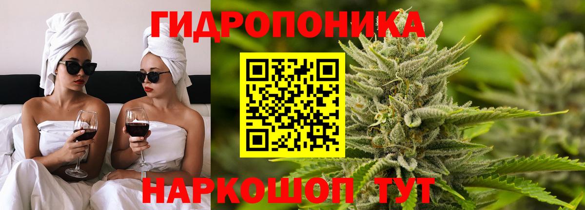 Оренбург  Марихуана семена  Канабис AK-47  Вход с VPN  Марихуана конопля 